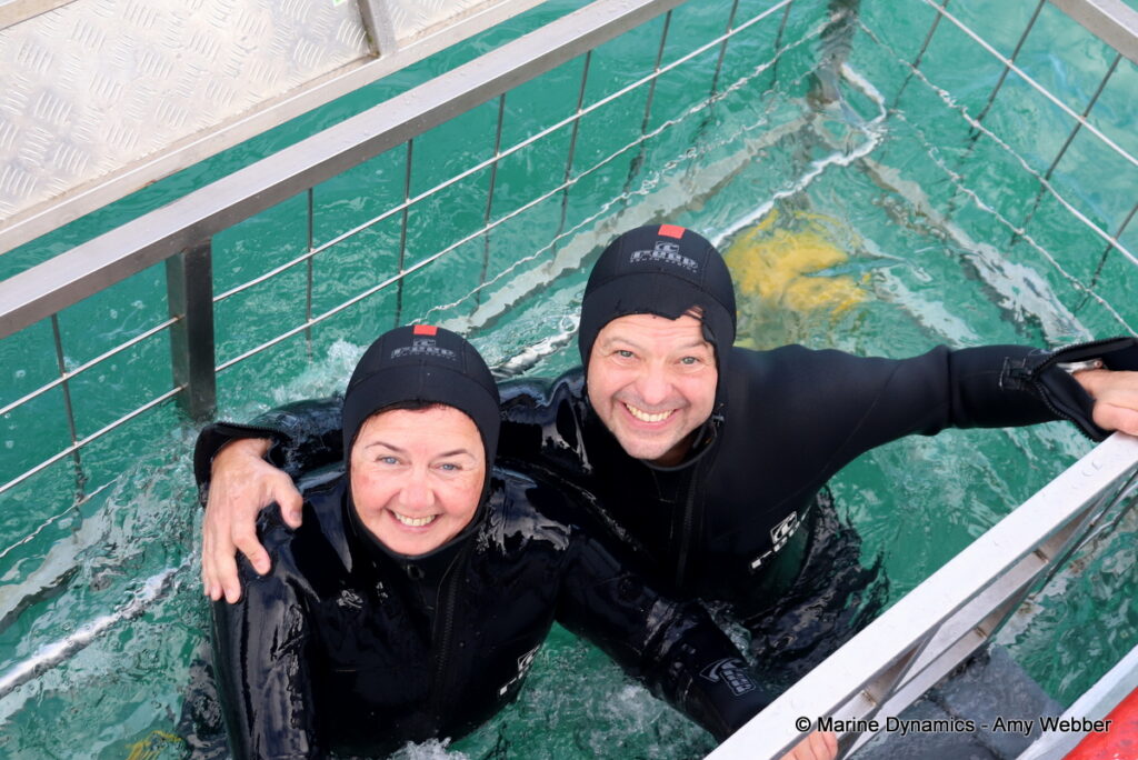 Shark cage diving, Gansbaai, South Africa