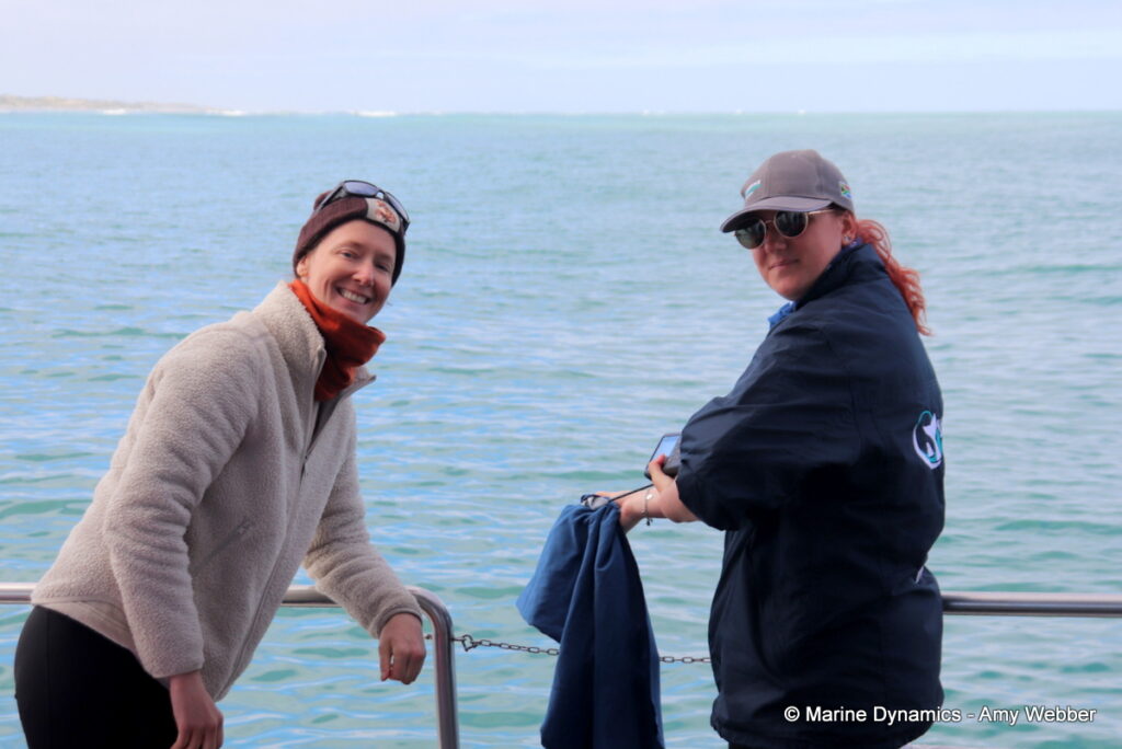 Shark cage diving, Gansbaai, South Africa