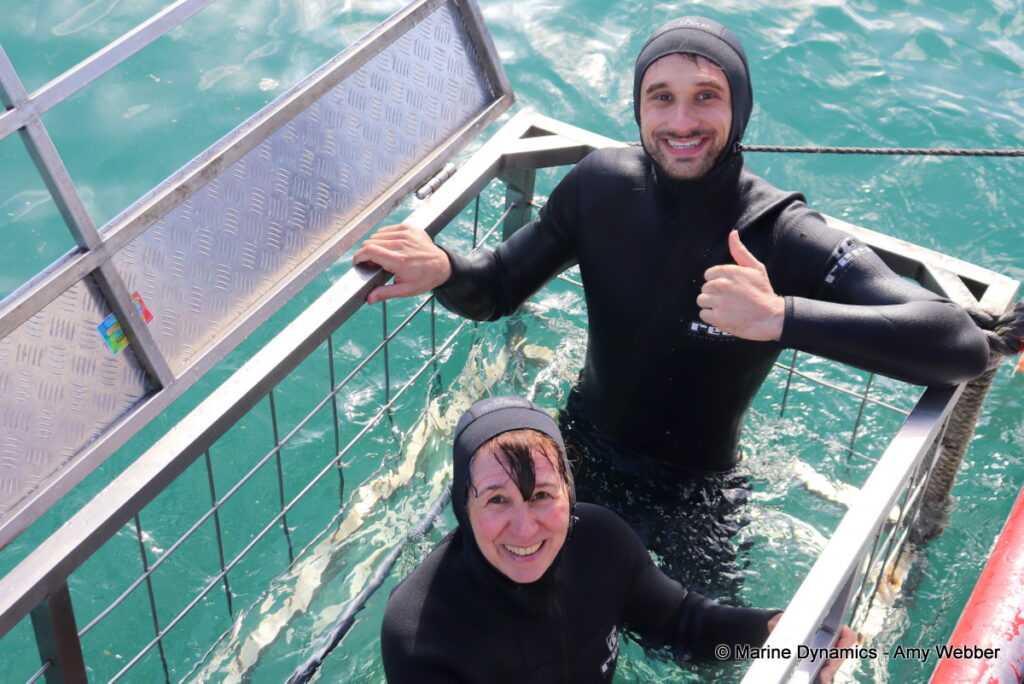 Shark cage diving, Gansbaai, South Africa
