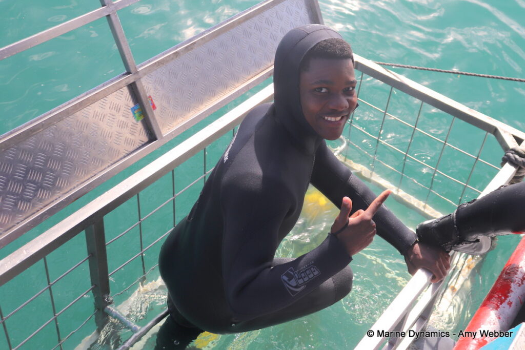 Shark cage diving, Gansbaai, South Africa
