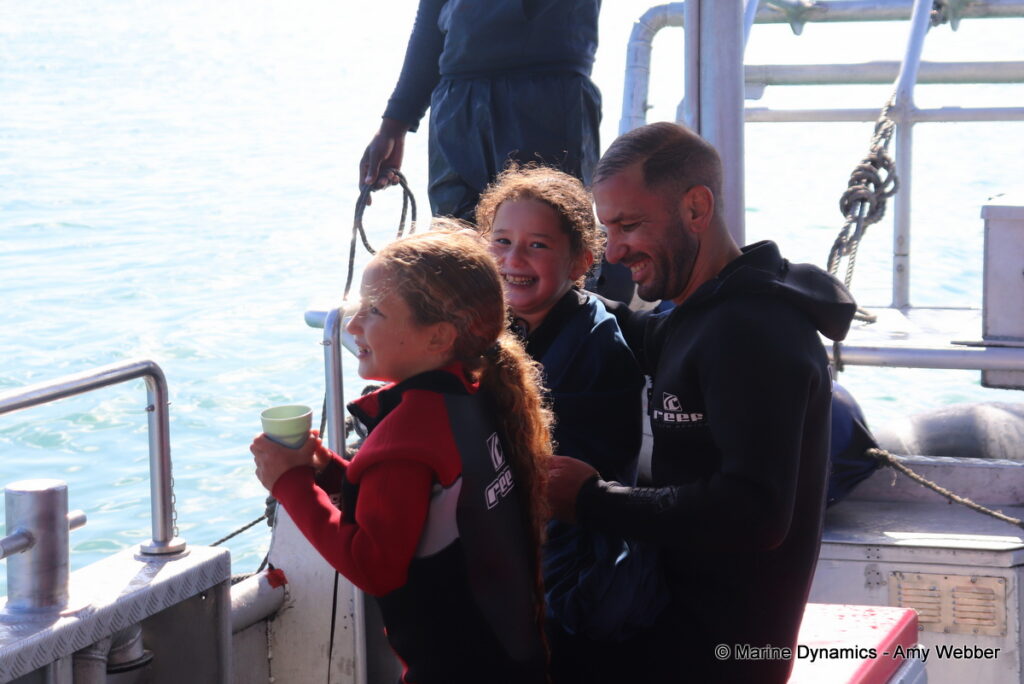 Shark cage diving, Gansbaai, South Africa
