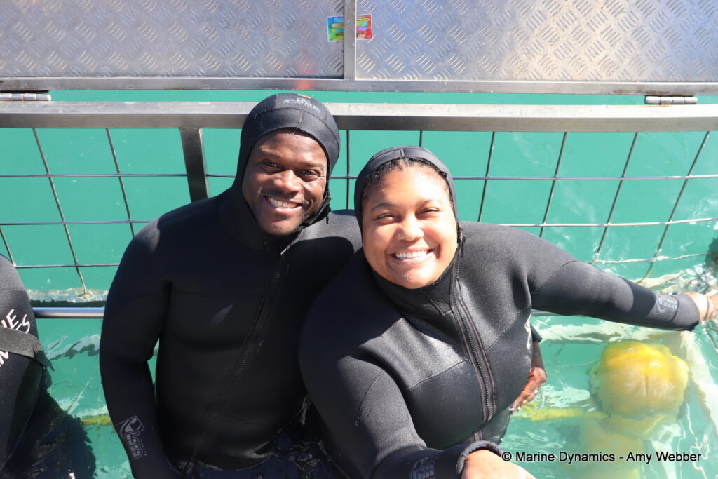 Shark cage diving, Gansbaai, South Africa