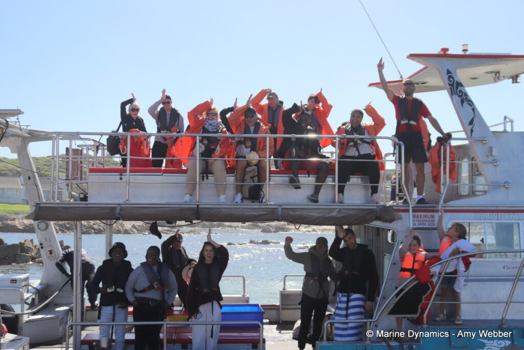 Shark cage diving, Gansbaai, South Africa