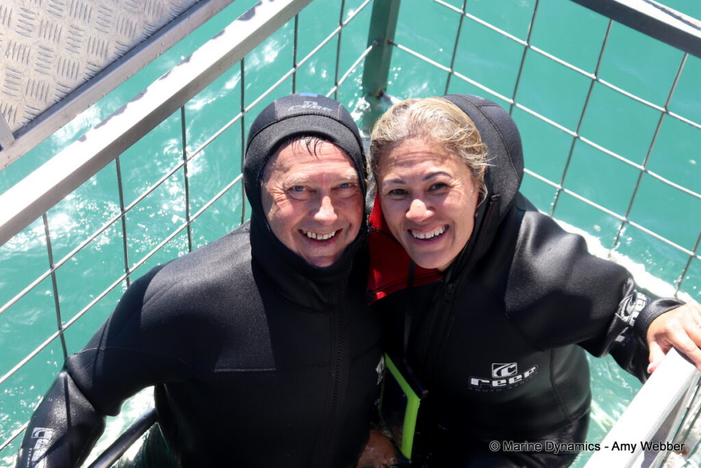Shark cage diving, Gansbaai, South Africa