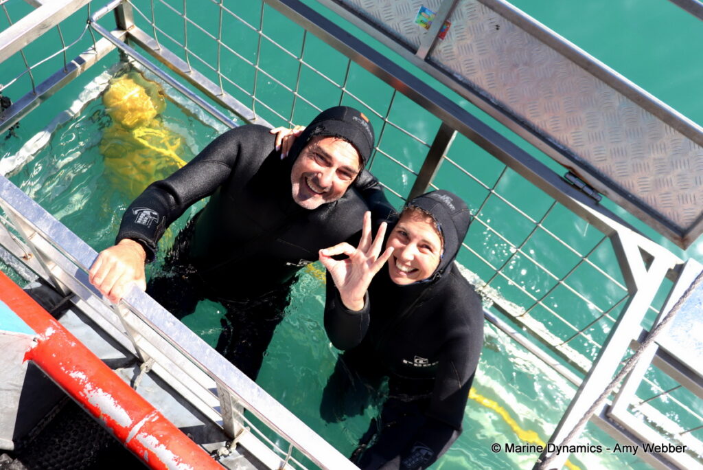 Shark cage diving, Gansbaai, South Africa