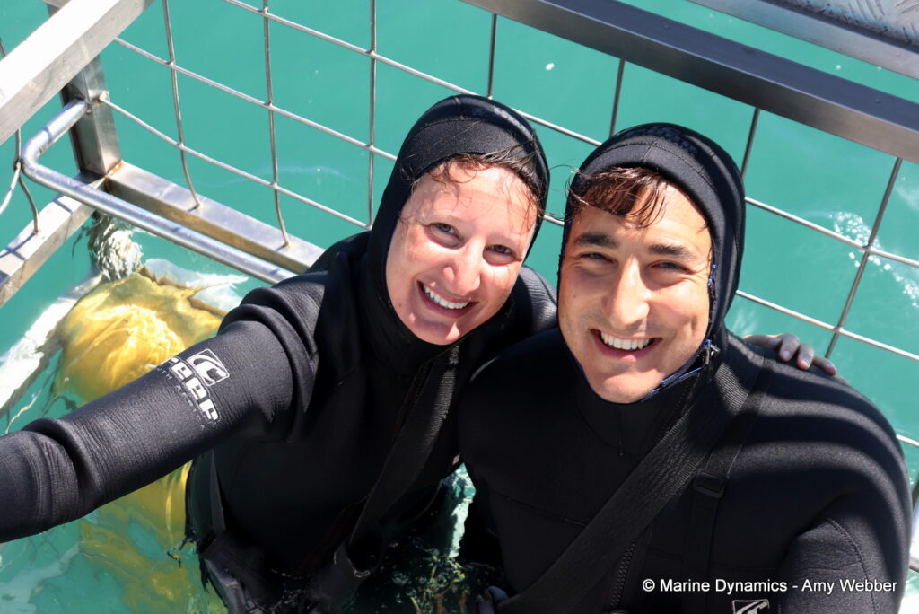 Shark cage diving, Gansbaai, South Africa