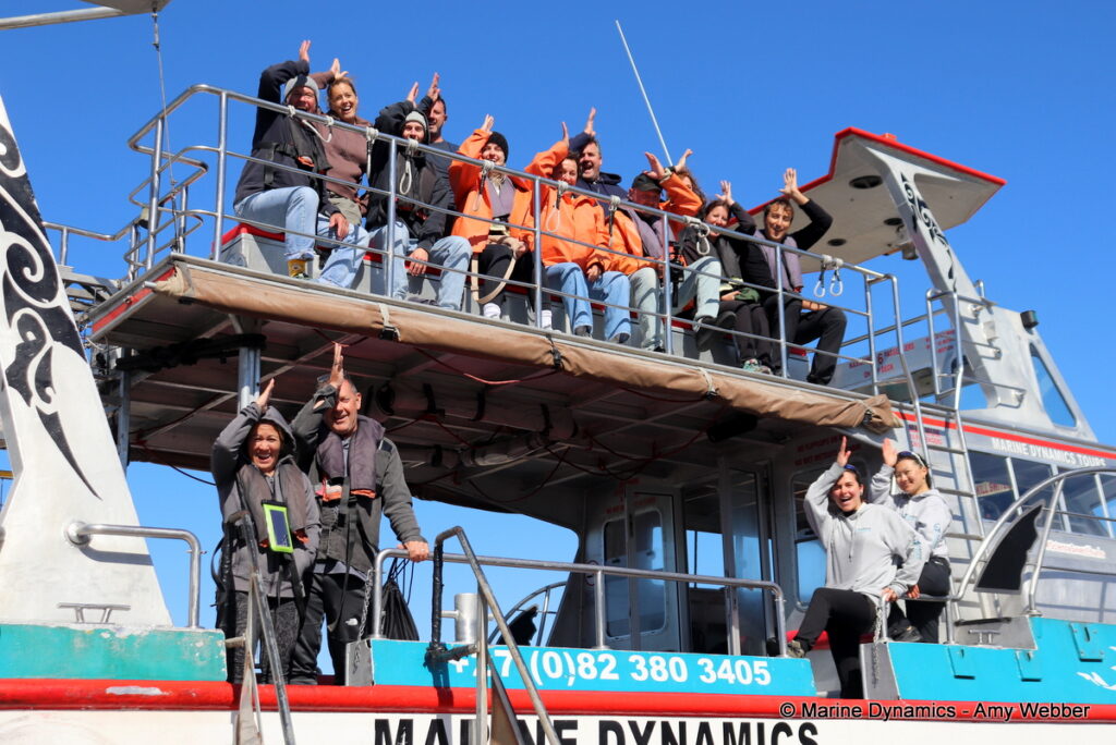 Shark cage diving, Gansbaai, South Africa