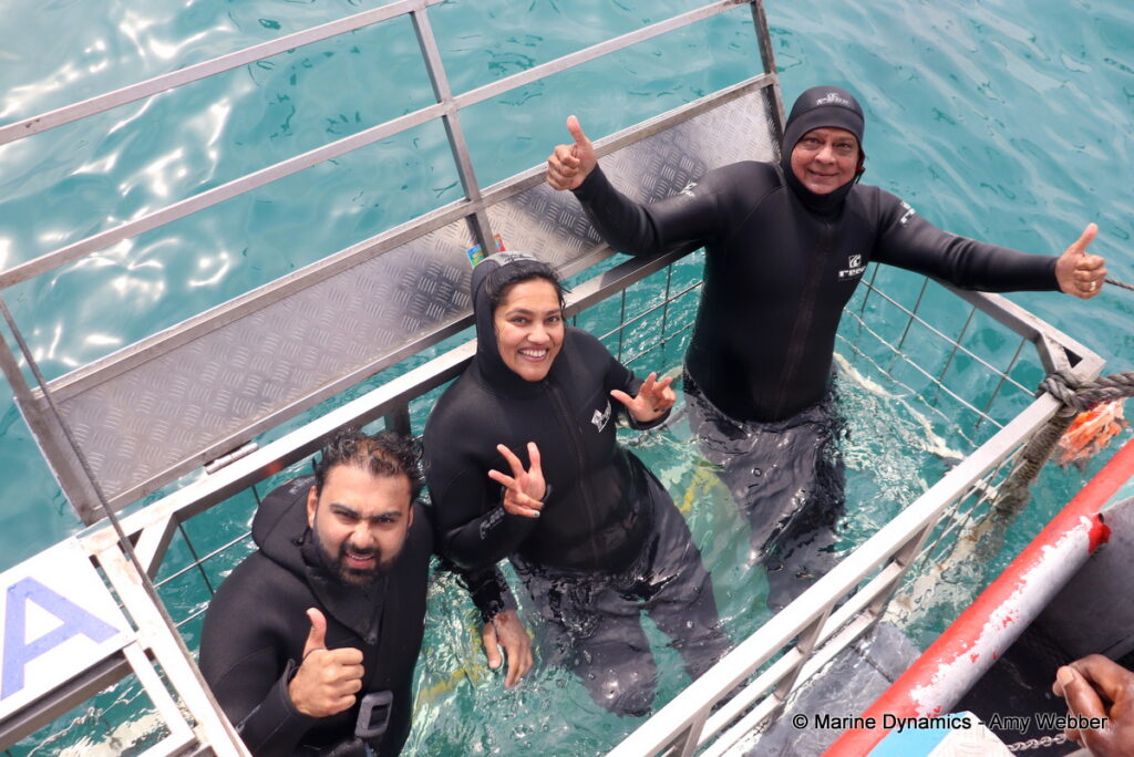 Shark cage diving, Gansbaai, South Africa