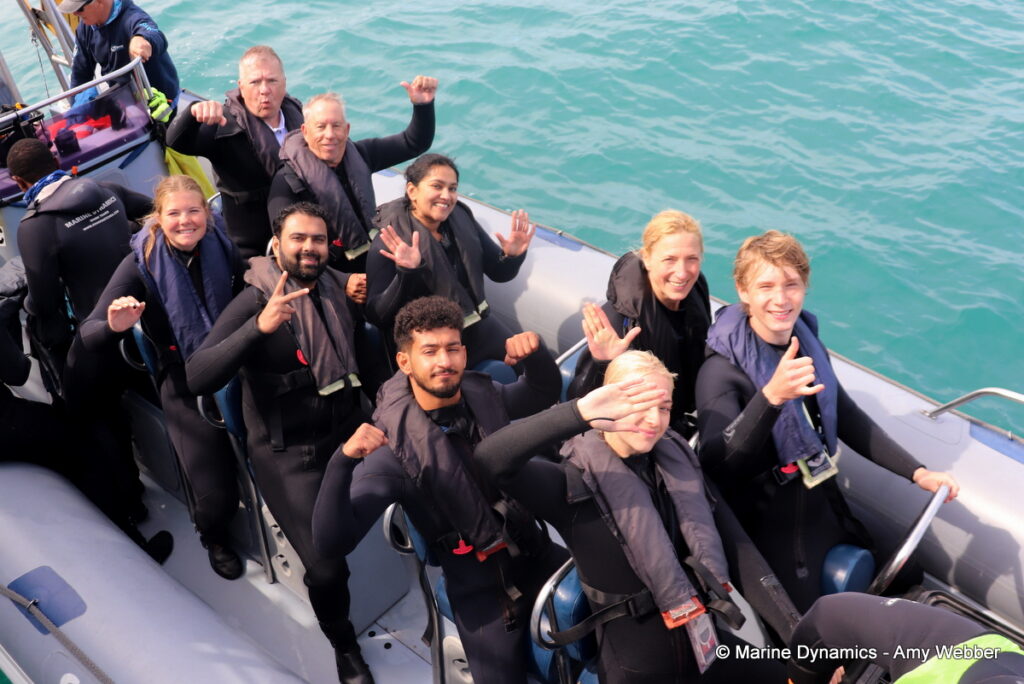 Shark cage diving, Gansbaai, South Africa