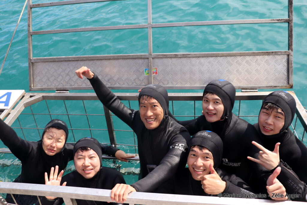 Shark cage diving, Gansbaai, South Africa