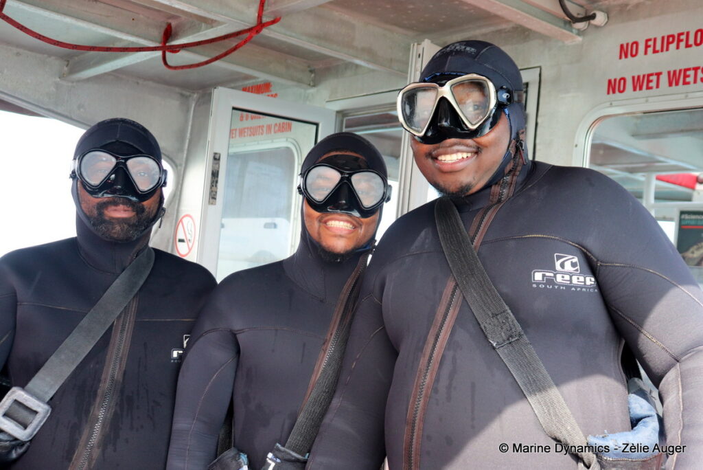 Shark cage diving, Gansbaai, South Africa