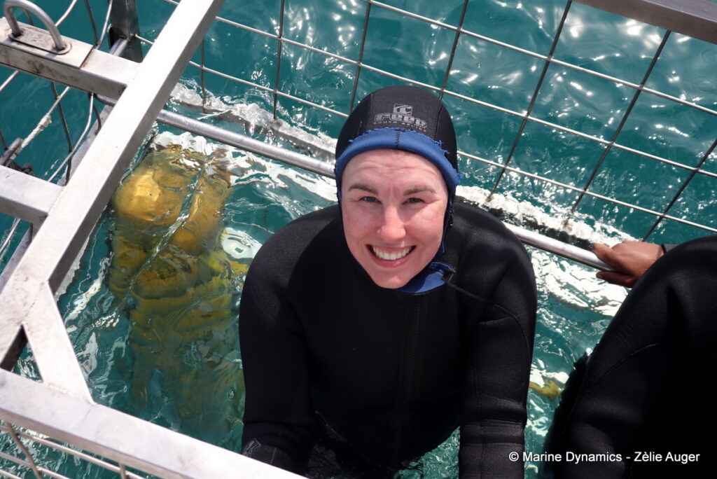 Shark cage diving, Gansbaai, South Africa