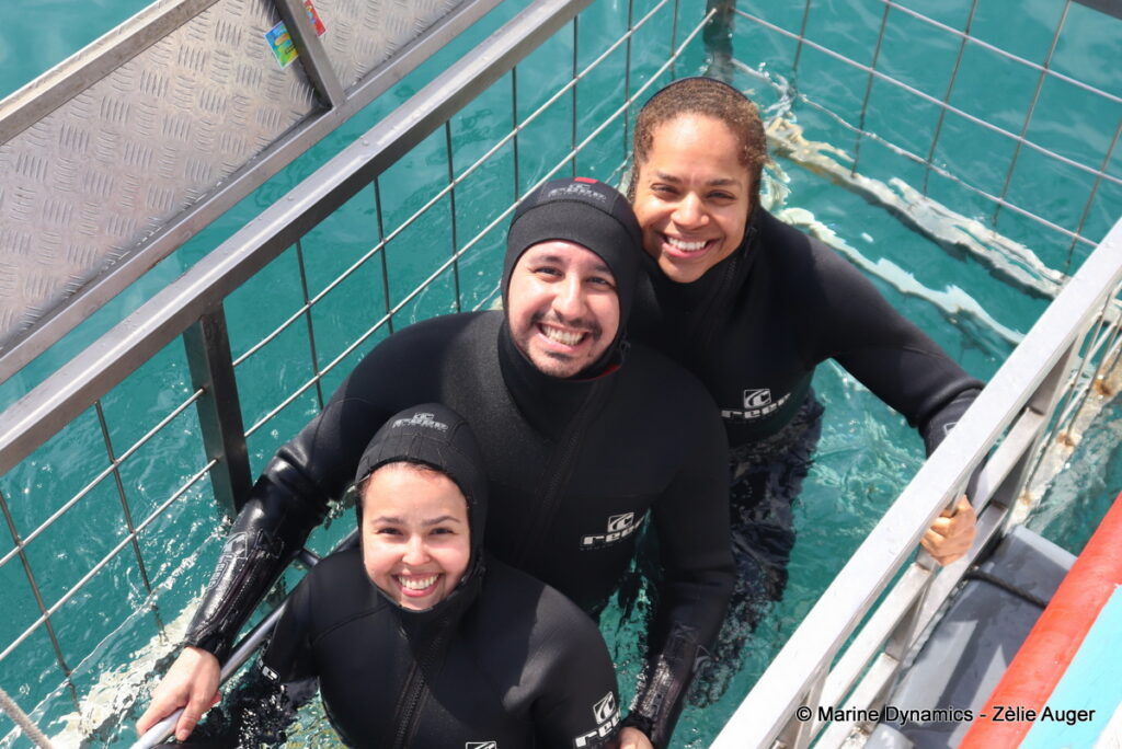 Shark cage diving, Gansbaai, South Africa