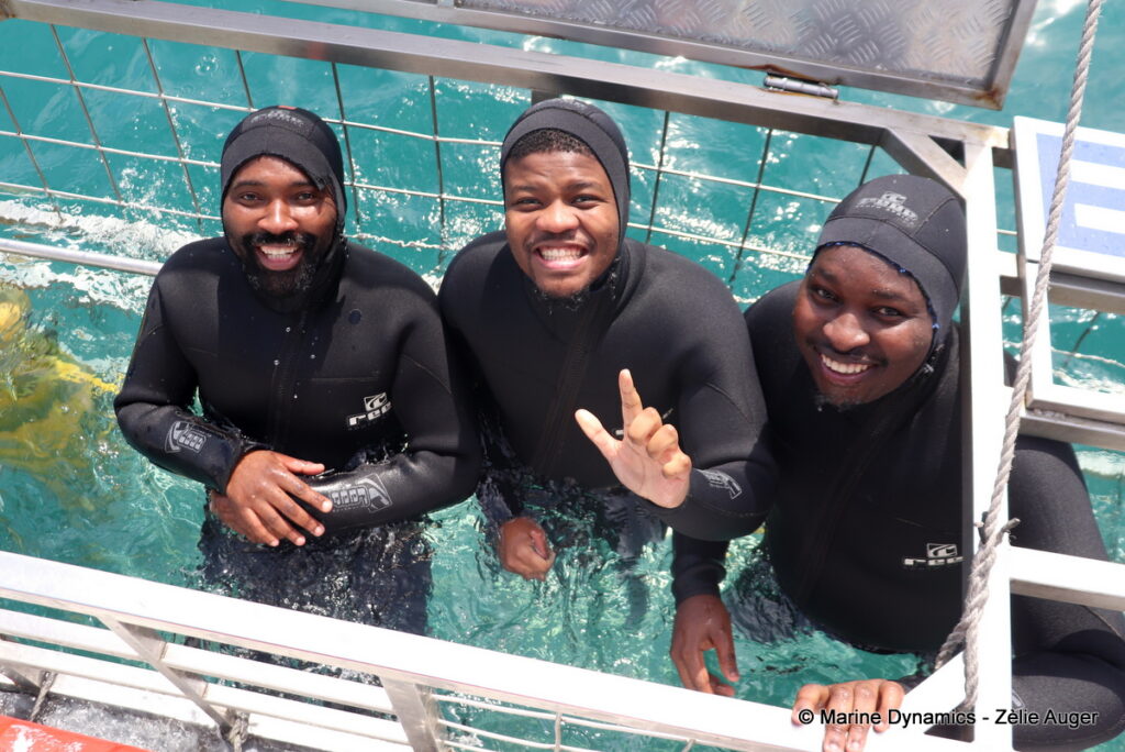Shark cage diving, Gansbaai, South Africa