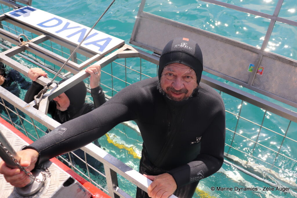 Shark cage diving, Gansbaai, South Africa