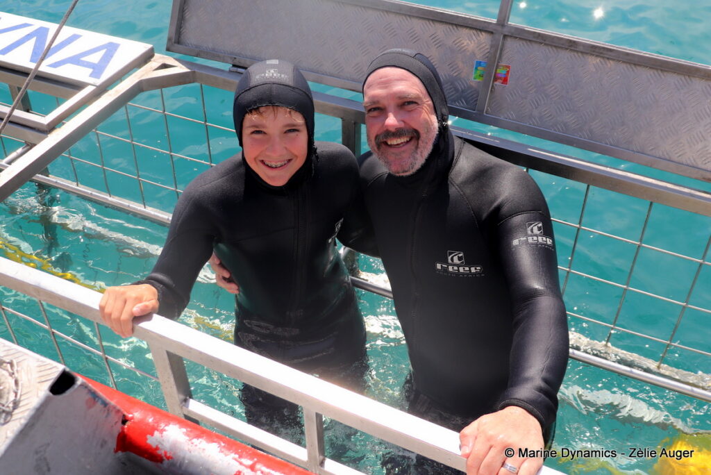 Shark cage diving, Gansbaai, South Africa