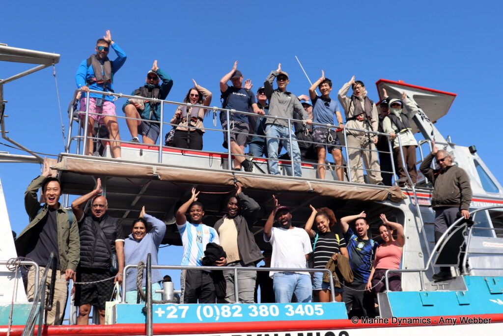 Shark cage diving, Gansbaai, South Africa