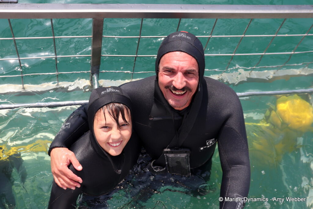 Shark cage diving, Gansbaai, South Africa