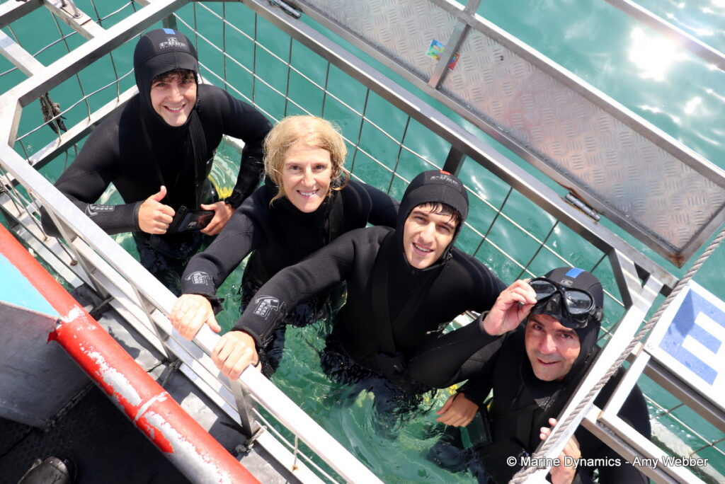 Shark cage diving, Gansbaai, South Africa