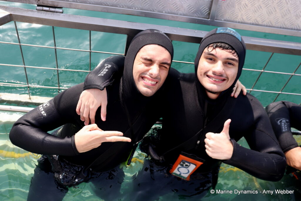 Shark cage diving, Gansbaai, South Africa