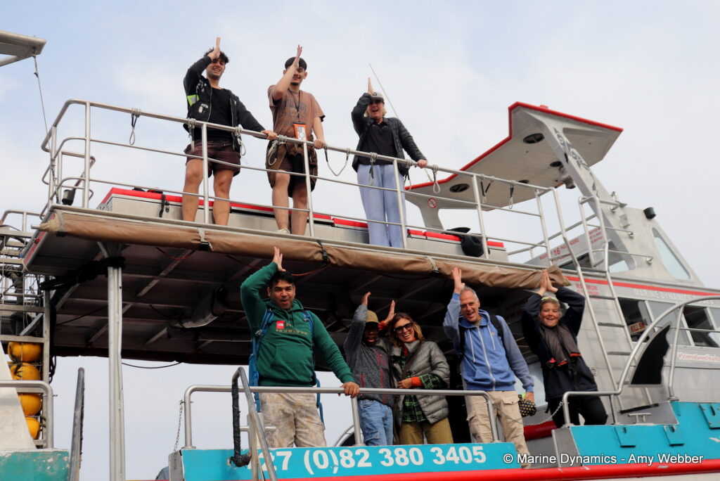 Shark cage diving, Gansbaai, South Africa