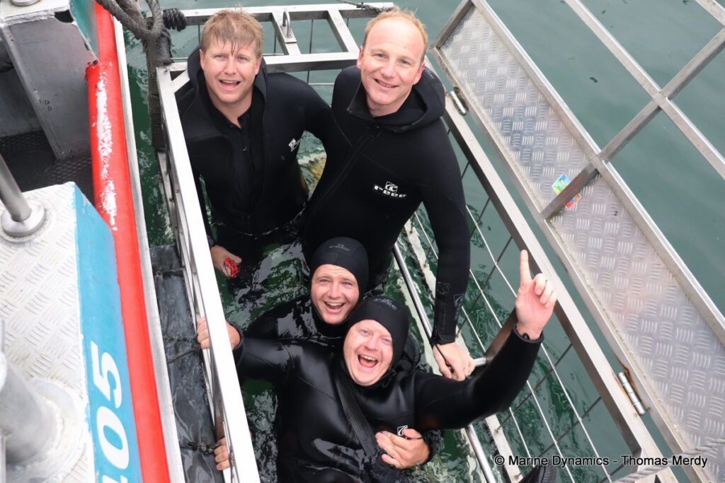 Shark cage diving, Gansbaai, South Africa