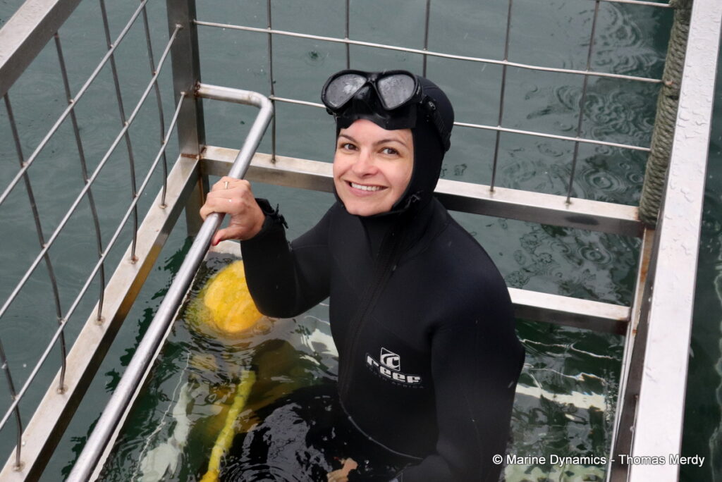 Shark cage diving, Gansbaai, South Africa