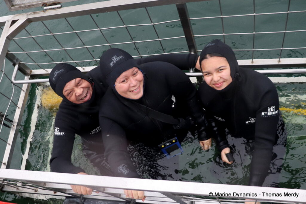 Shark cage diving, Gansbaai, South Africa