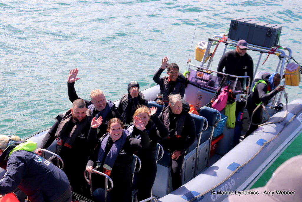 Shark cage diving, Gansbaai, South Africa