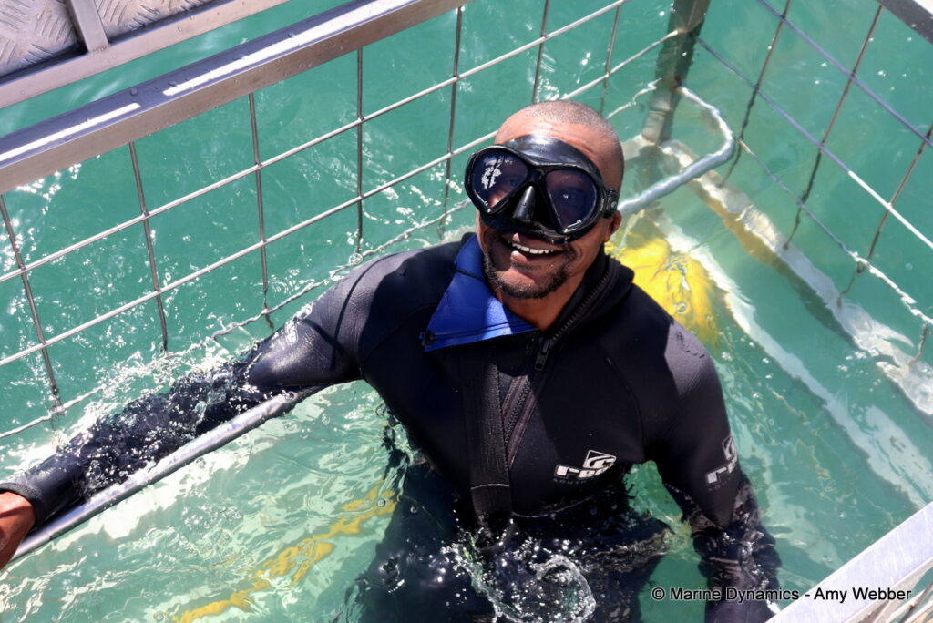 Shark cage diving, Gansbaai, South Africa