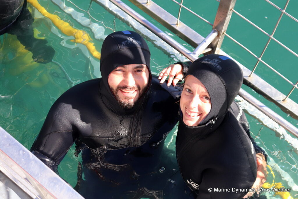 Shark cage diving, Gansbaai, South Africa