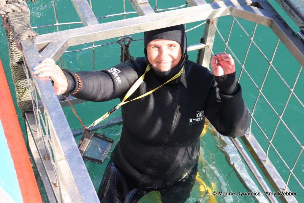 Shark cage diving, Gansbaai, South Africa