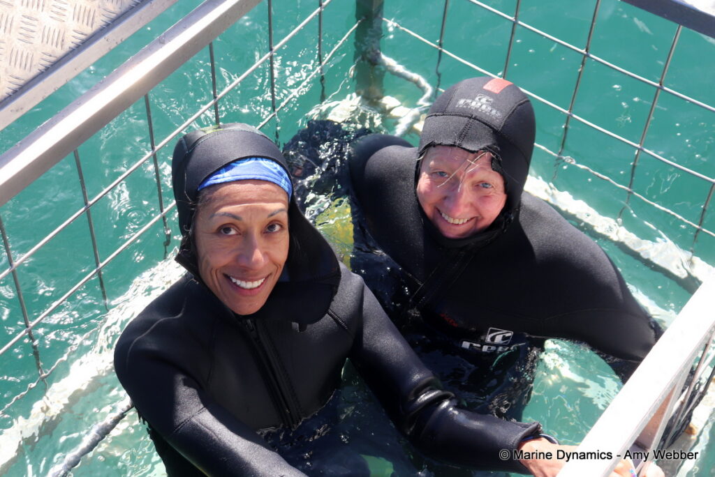 Shark cage diving, Gansbaai, South Africa