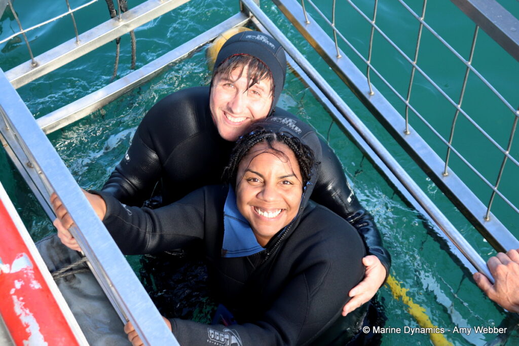 Shark cage diving, Gansbaai, South Africa