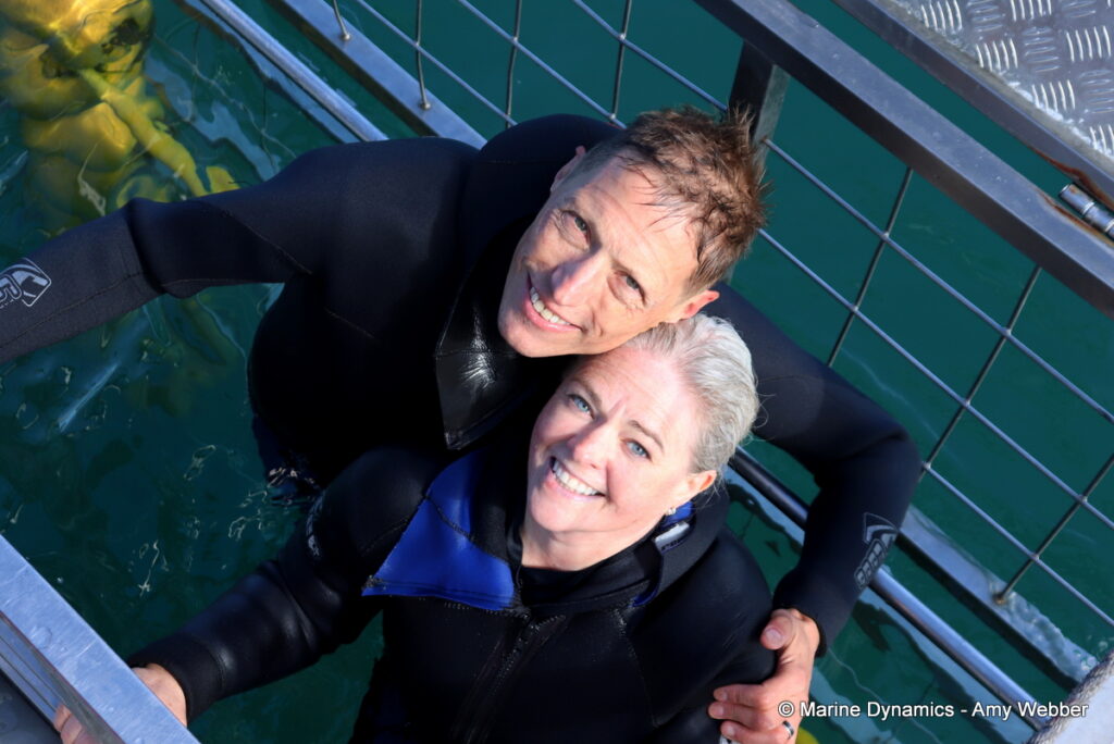 Shark cage diving, Gansbaai, South Africa