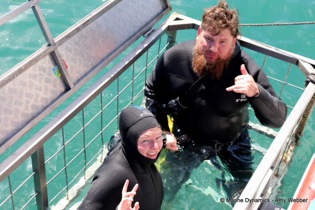 Shark cage diving, Gansbaai, South Africa