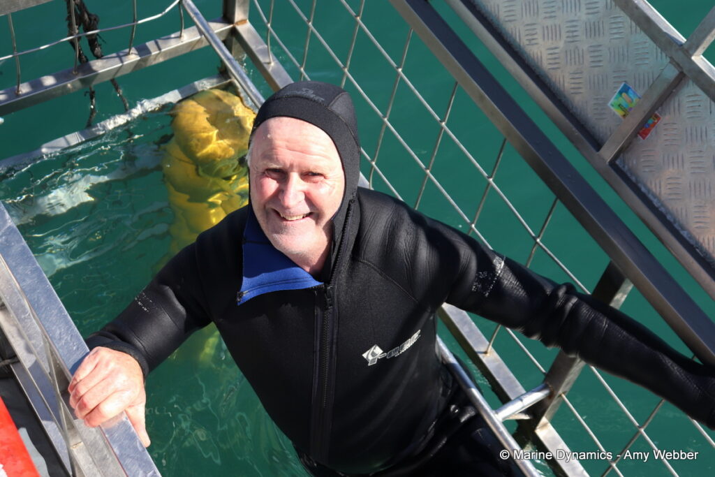 Shark cage diving, Gansbaai, South Africa