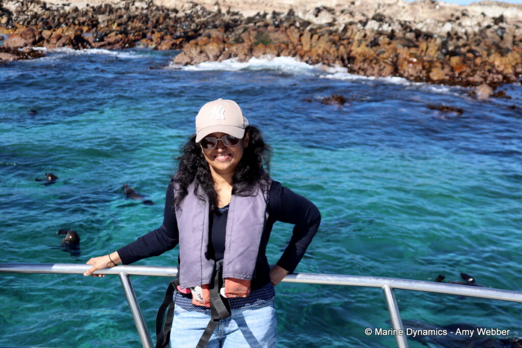 Shark cage diving, Gansbaai, South Africa