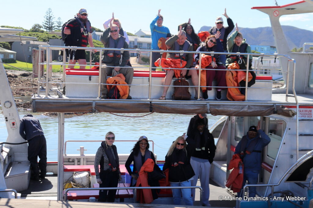 Shark cage diving, Gansbaai, South Africa