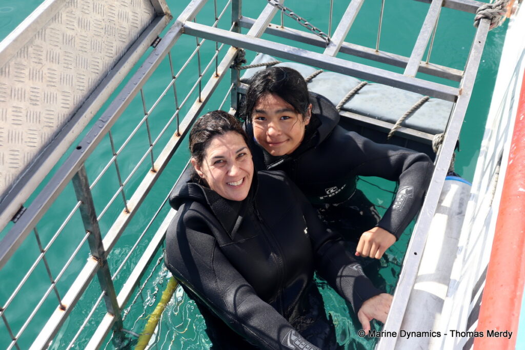 Shark cage diving, South Africa, Gansbaai