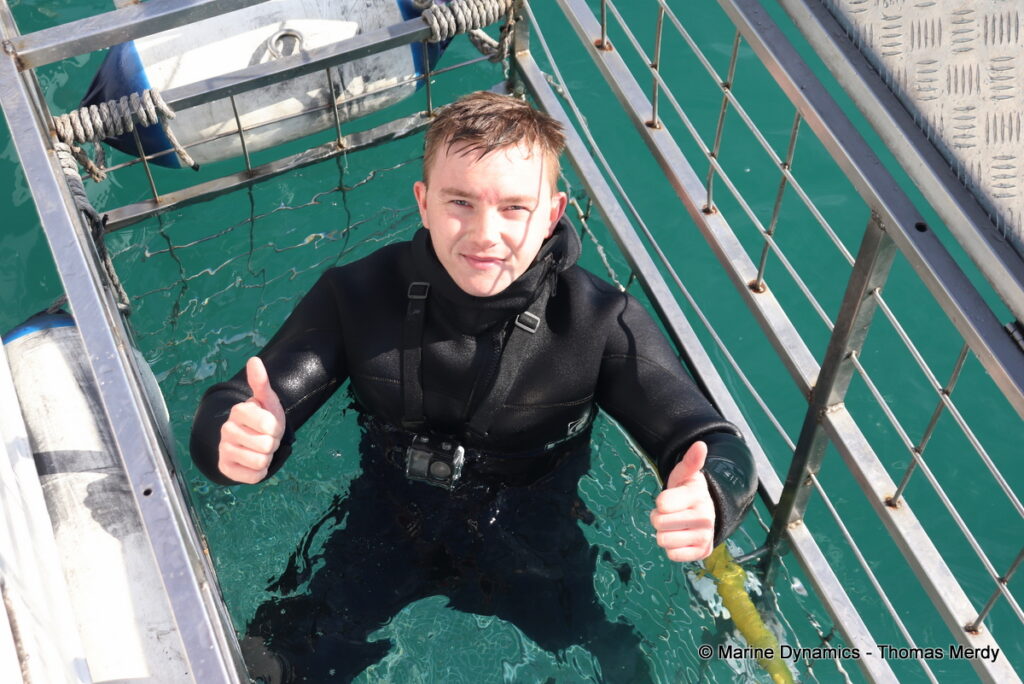Shark cage diving, South Africa, Gansbaai