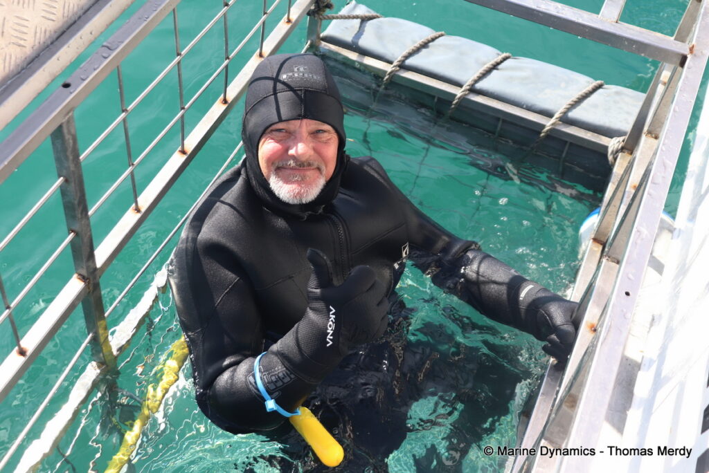 Shark cage diving, South Africa, Gansbaai