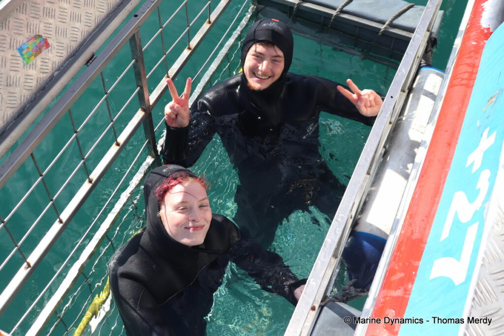 Shark cage diving, South Africa, Gansbaai