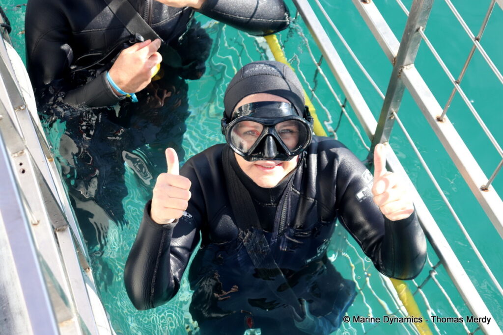 Shark cage diving, South Africa, Gansbaai