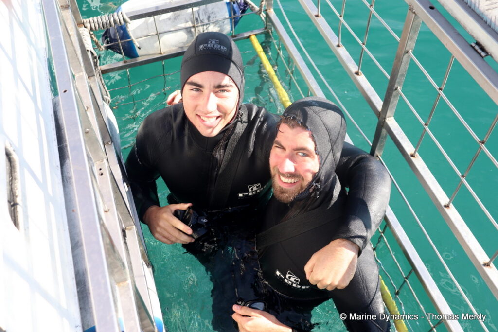 Shark cage diving, South Africa, Gansbaai