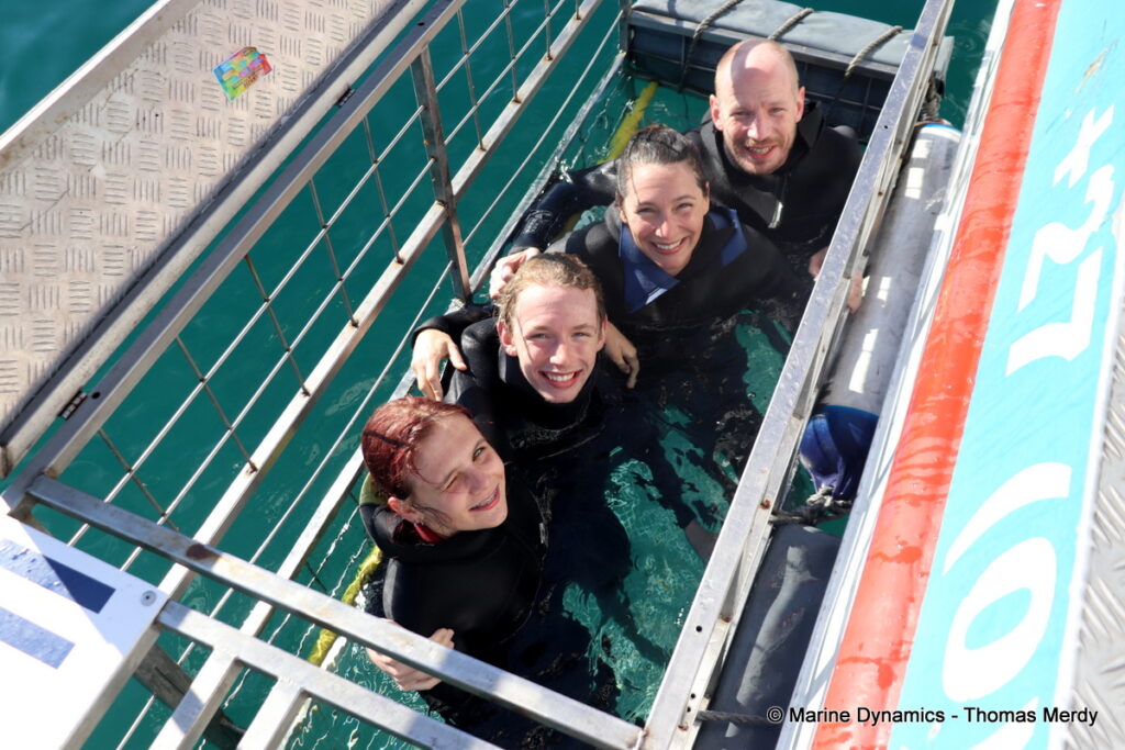 Shark cage diving, South Africa, Gansbaai