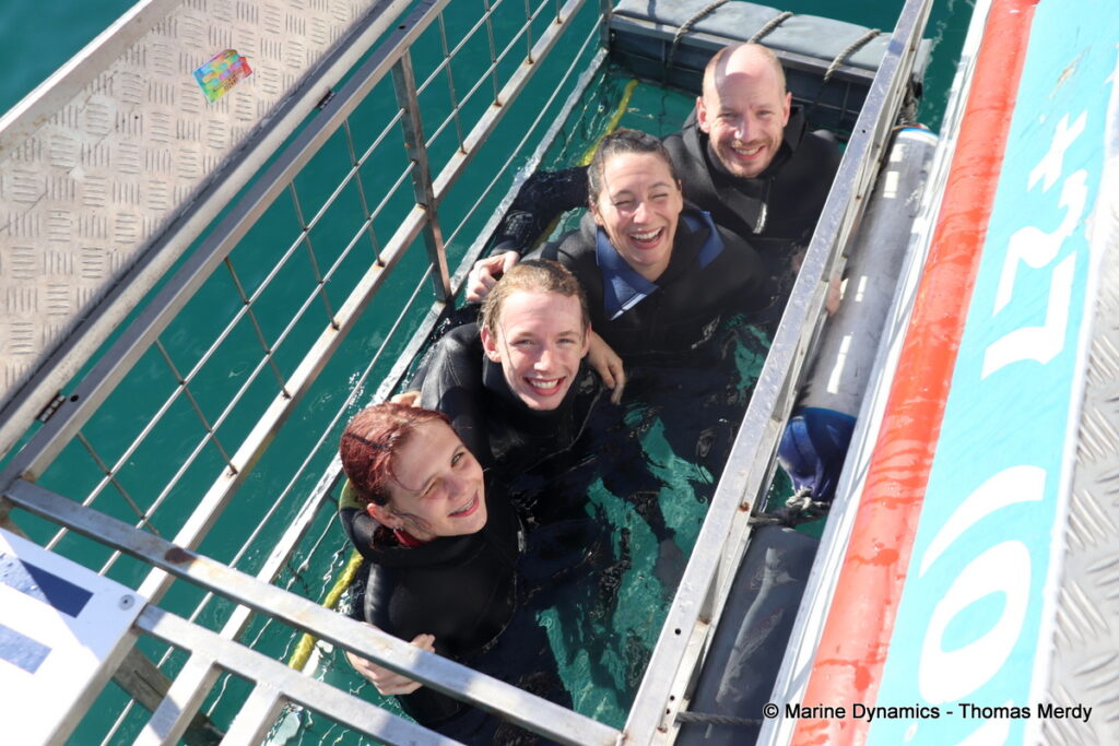 Shark cage diving, South Africa, Gansbaai