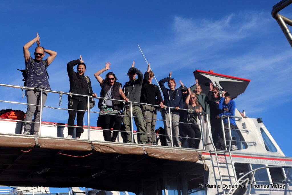 Shark cage diving, South Africa, Gansbaai
