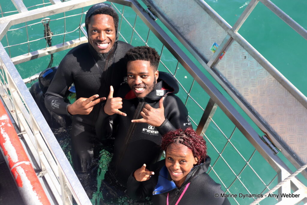Shark cage diving, Gansbaai, South Africa