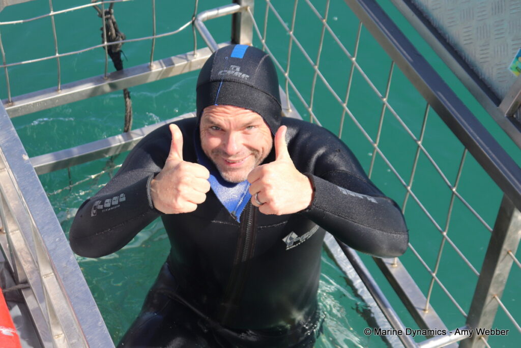 Shark cage diving, Gansbaai, South Africa